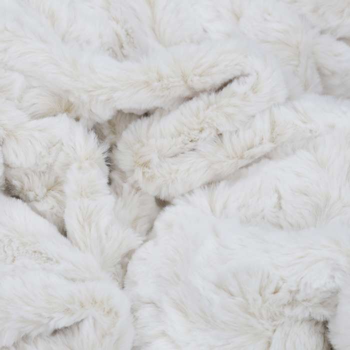 35429feb.jpg