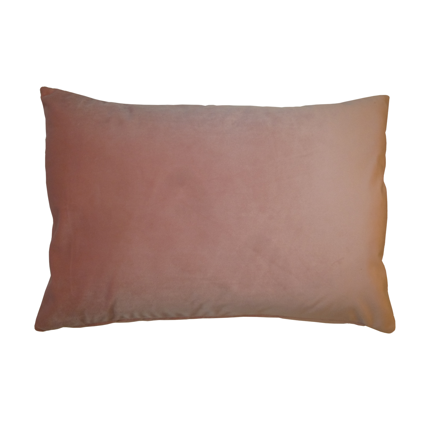 cavallo-40x60cm-22-pink-dgr.png
