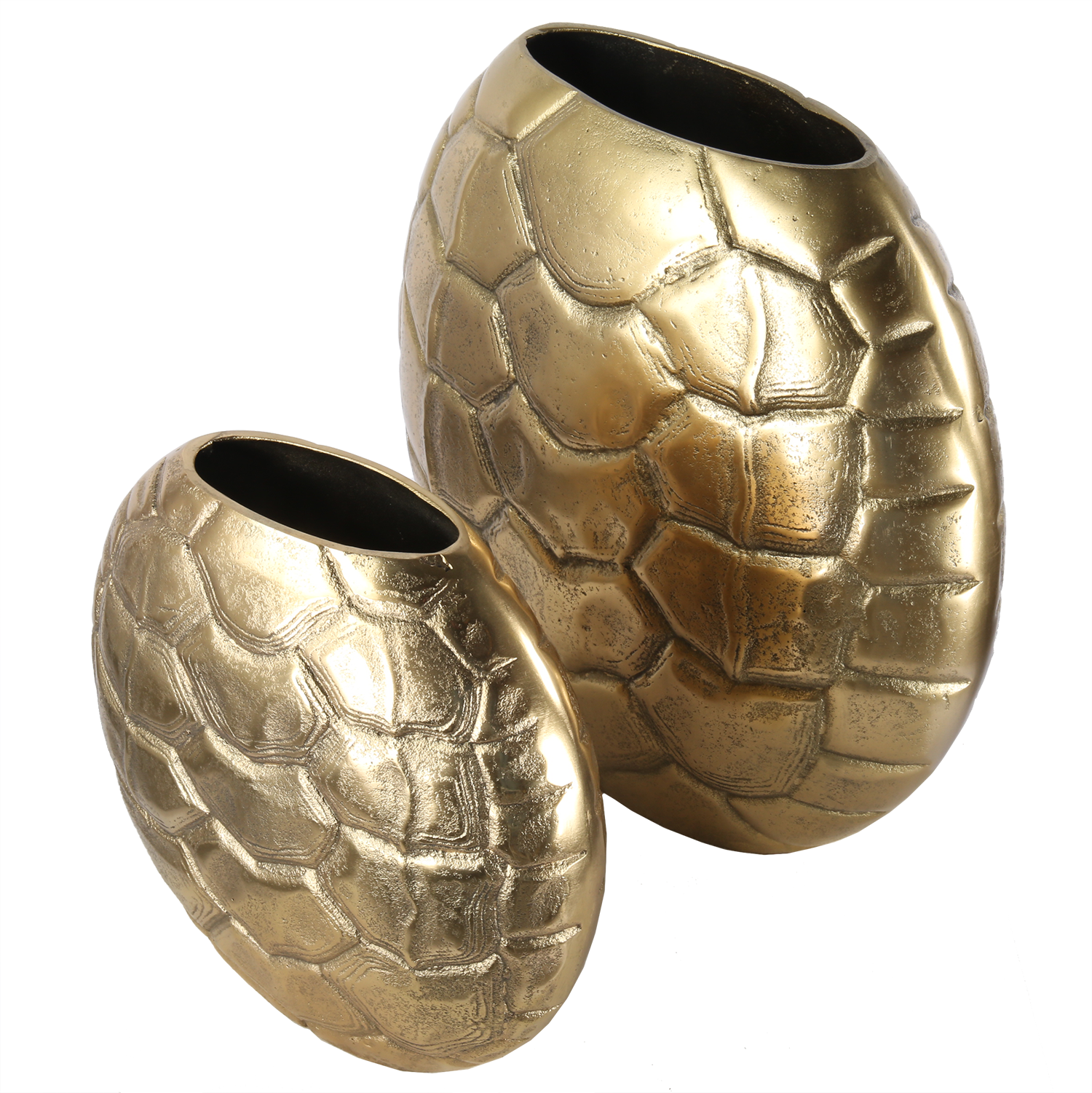 salernobronssettop.png