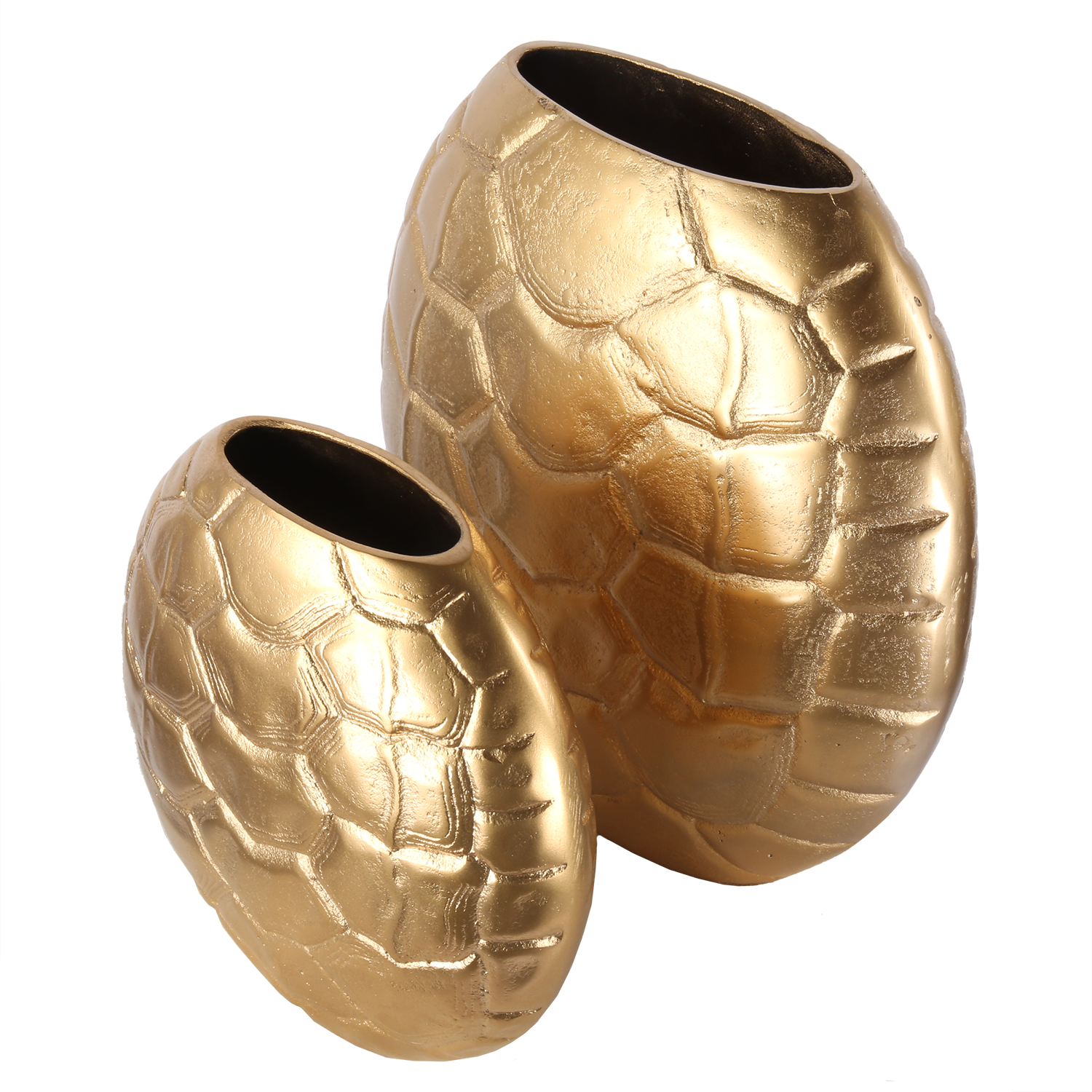 salernogoudsettop-1.png