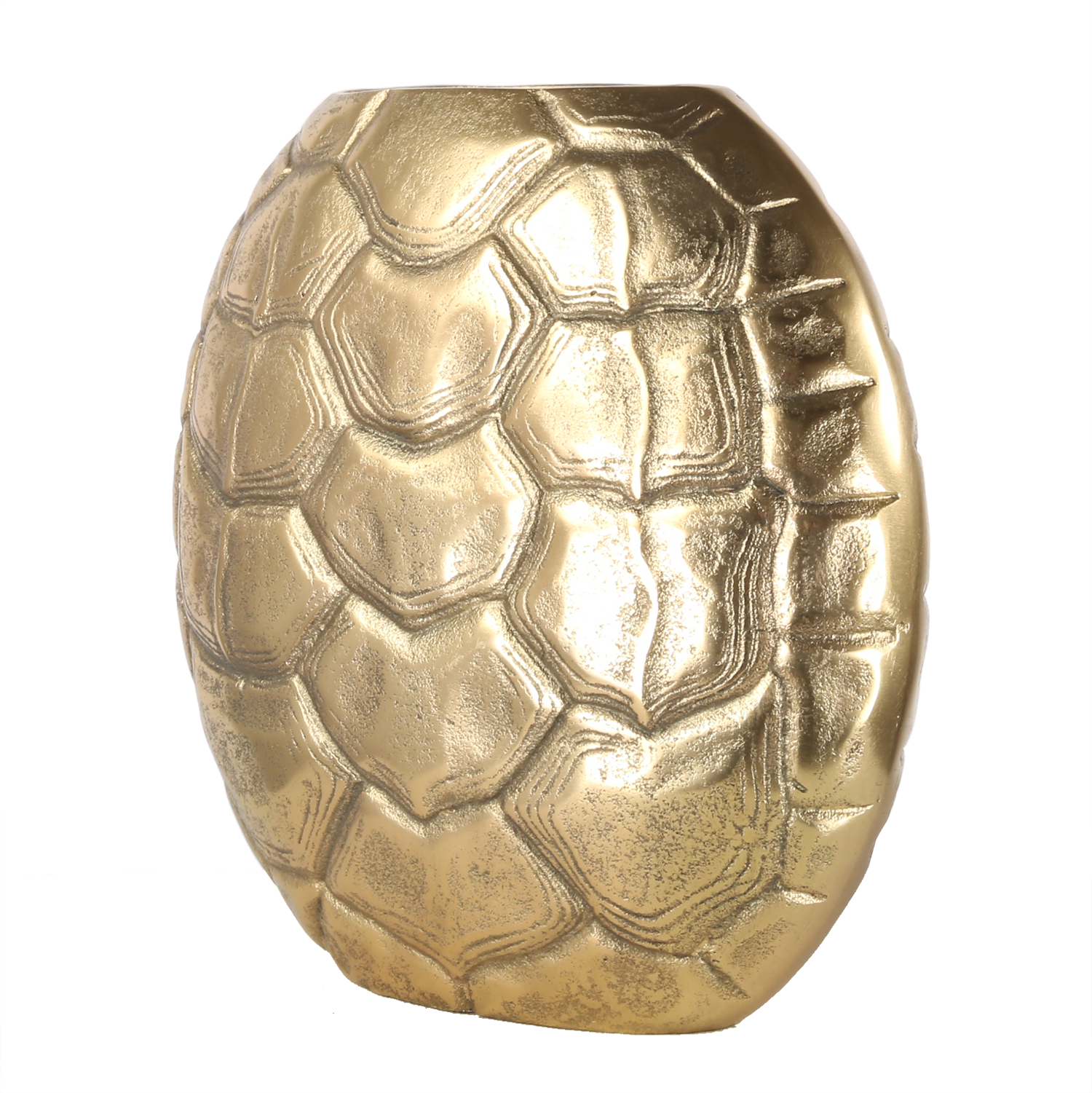 salernokleinbronsschuin.png