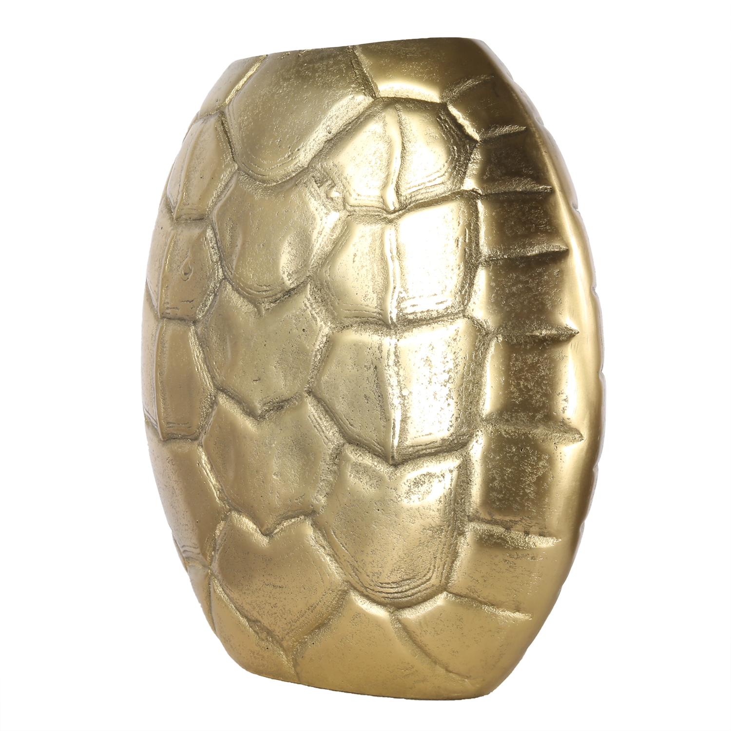 salernomiddelbronsschuin-1.png
