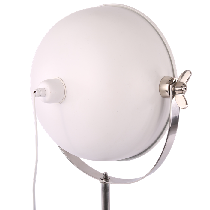 tl-globe-30798-mw-g-2.png