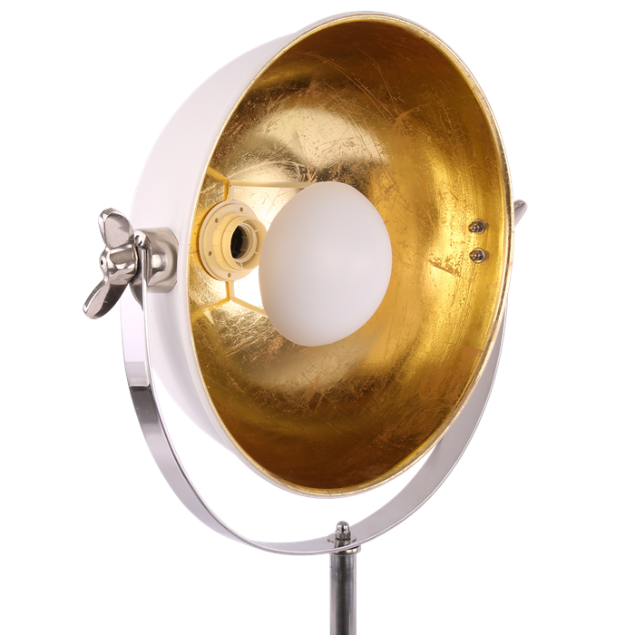 tl-globe-30798-mw-g-3.png