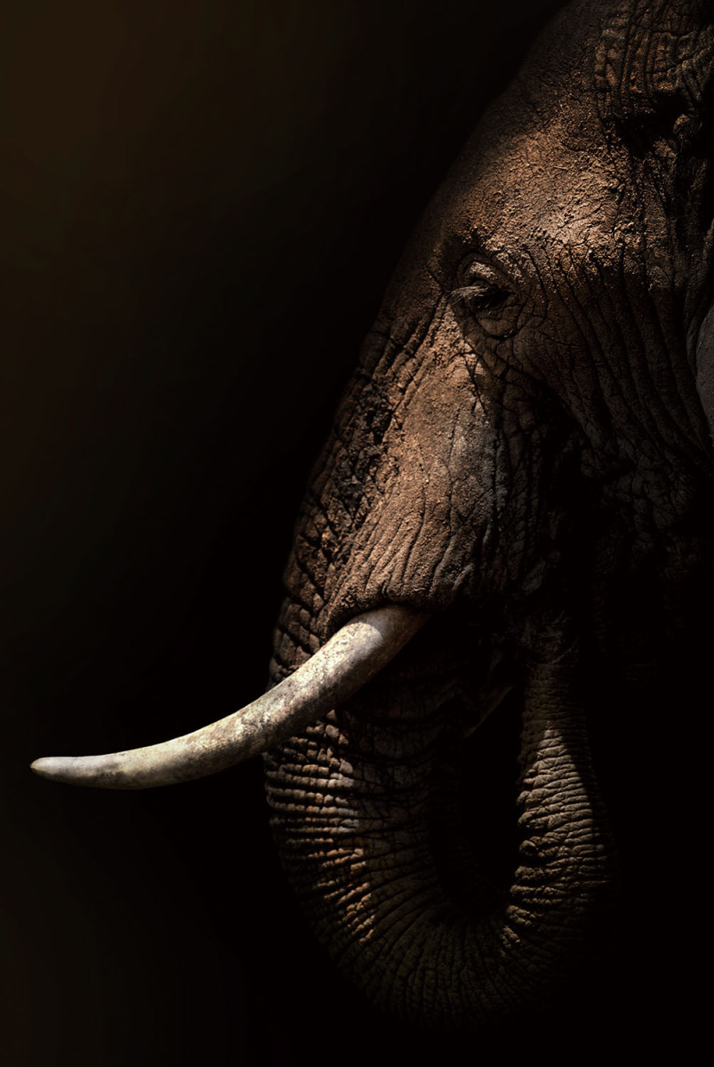 e47a022f7749359d2dbdd92630151e52848bff14.jpg