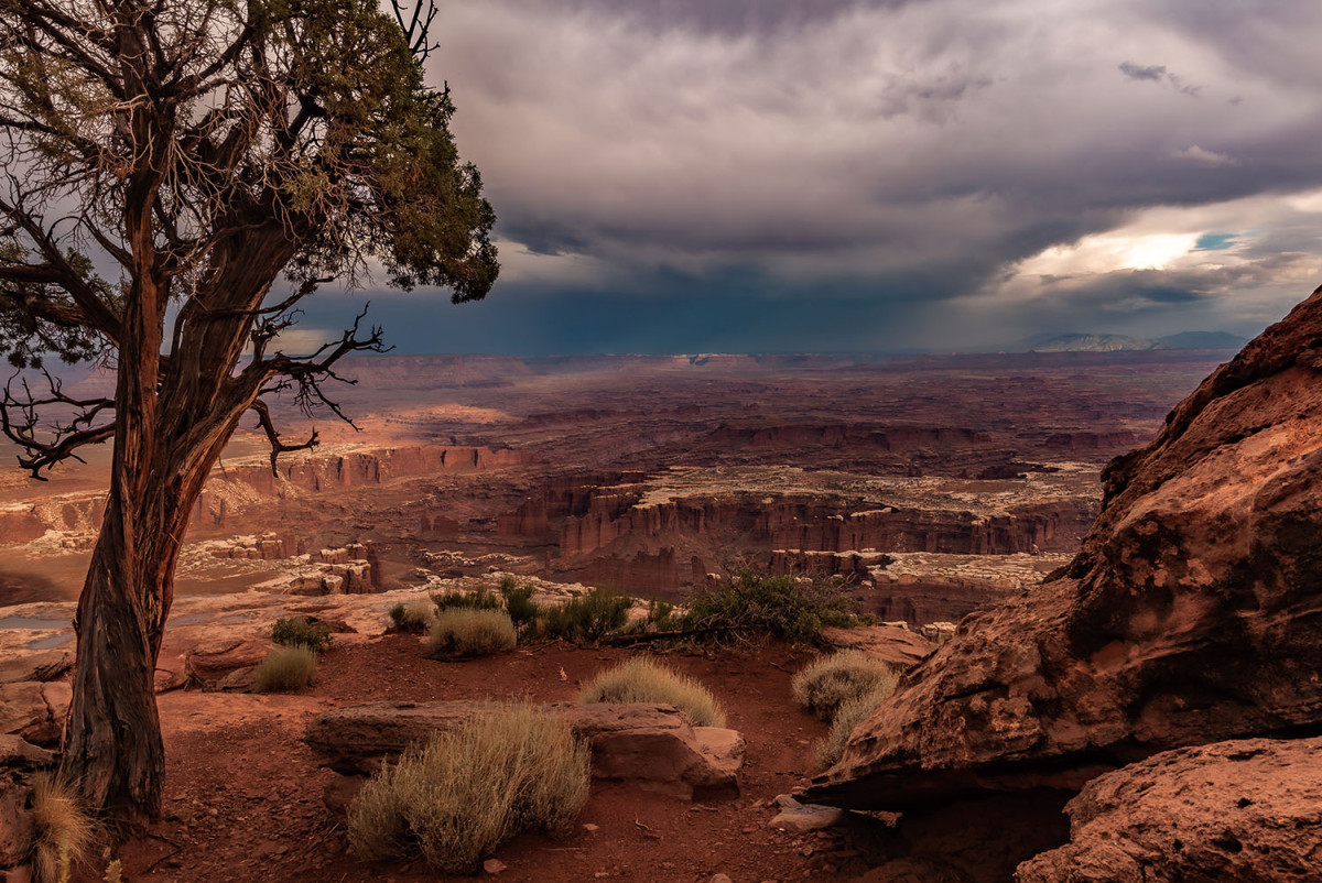 5a39de4a27c54da3073c88e30743d16cfd97219e.jpg