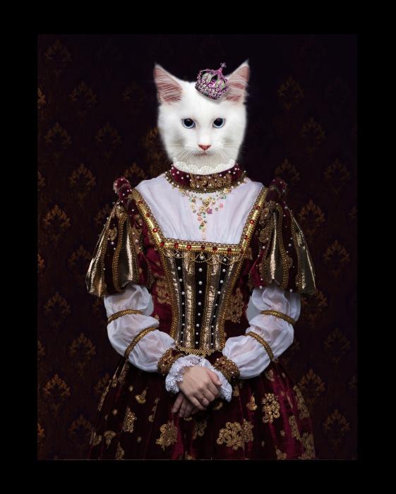 707f6f042e39fbc0f00dc04c012962d44ae8dbb8.jpg