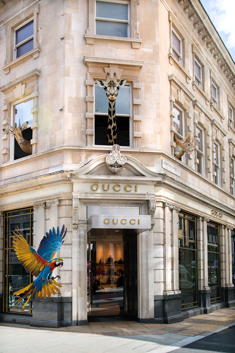 825dd6debe8d351641f87fa71b0478f848ebea17.jpg
