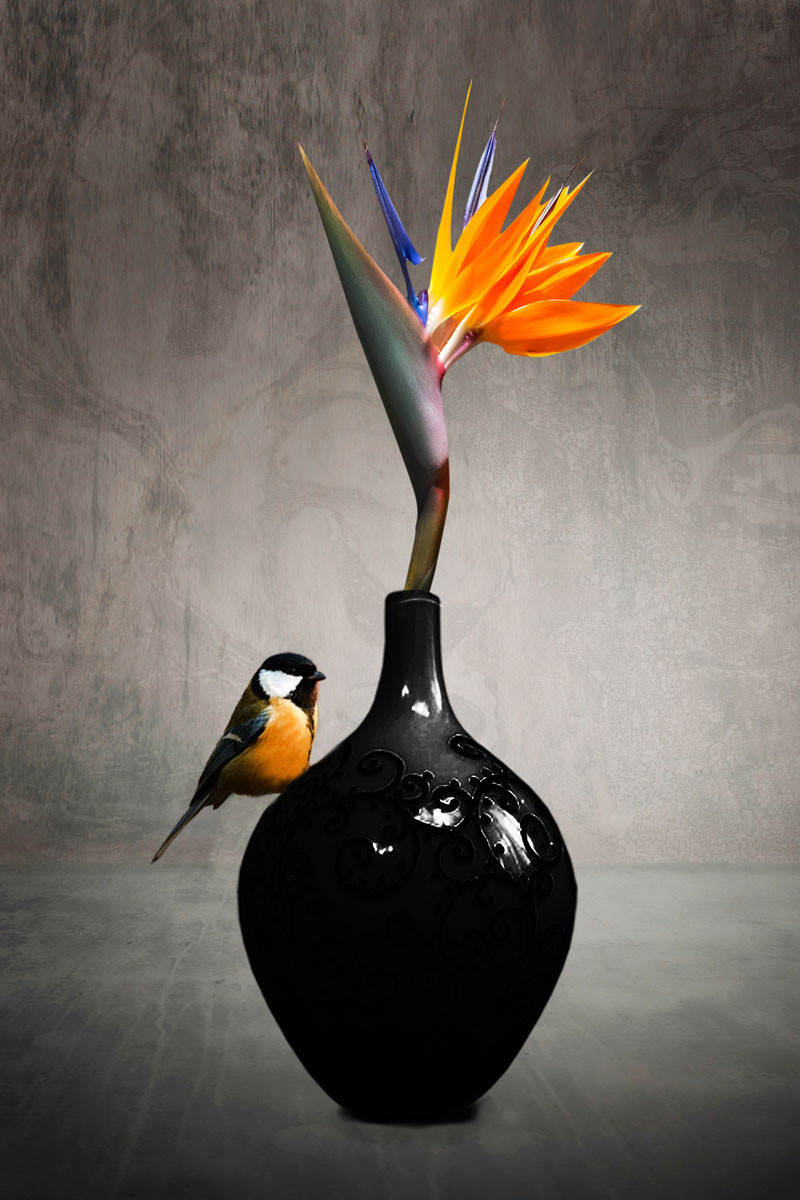 a5dbee430179c8b6cc592bdcf341dd7097581edc.jpg