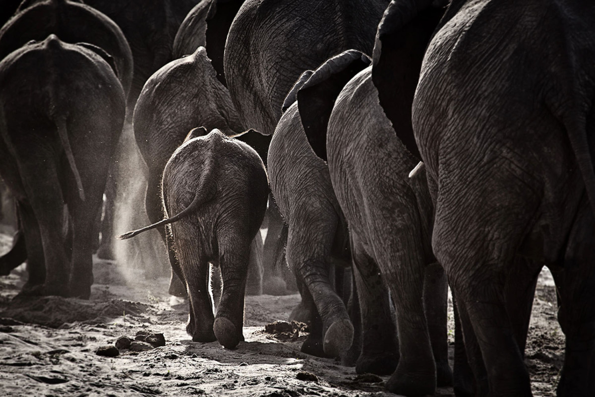 abfe327c8ae8f1941d40d48c850da030ddb1c8b5.jpg